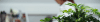 Beneficial Ownership Regulations Passed