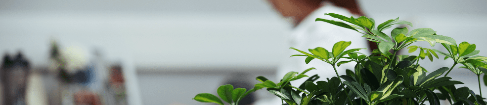 Beneficial Ownership Regulations Passed