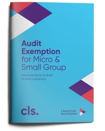 audit exemption for micro and small group