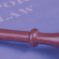 Corporate Enforcement Authority